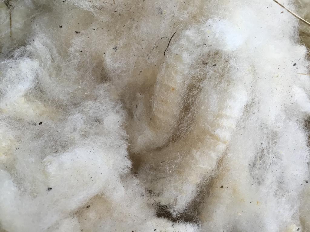 Mooie vachten ongewassen schapenwol, div. kleuren en soorten, Ophalen of Verzenden, Zo goed als nieuw, Spinwol