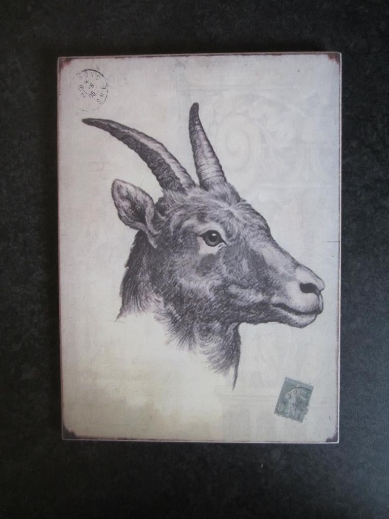 WAND DECORATIE HERT IN GRIJSTINTEN 26X36cm, Ophalen, Zo goed als nieuw