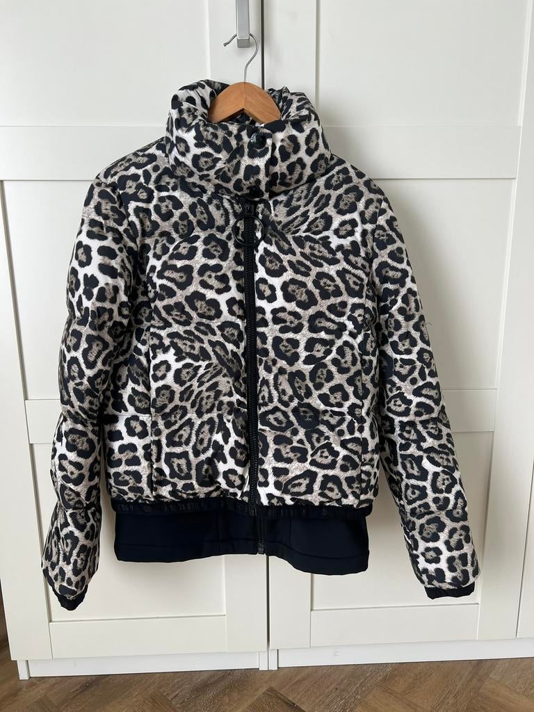Goldbergh Ski Jas Lua Leopard, Ophalen of Verzenden, Zo goed als nieuw, Maat 38/40 (M), Jack