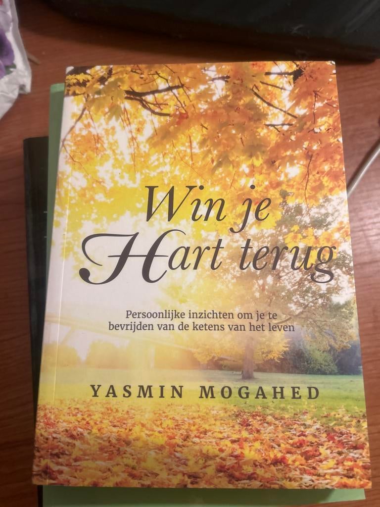 Win je Hart terug - Yasmin Mogahed, Ophalen of Verzenden, Zo goed als nieuw