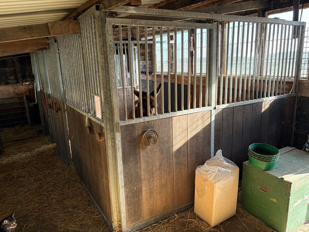 Stal wanden, Stalling, 2 of 3 paarden of pony's