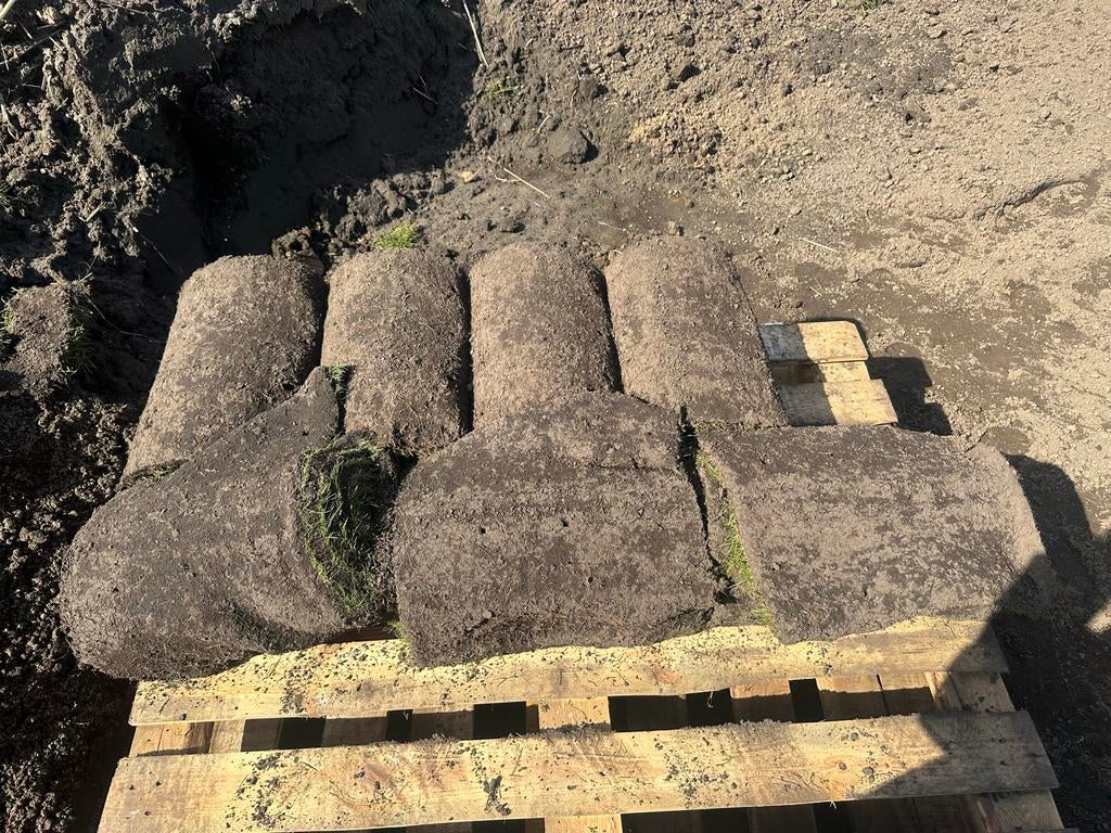 Verse graszoden voor een prachtig gazon, Tuin en Terras, Gras en Kunstgras, Ophalen, Nieuw, 10 tot 20 m², Gras