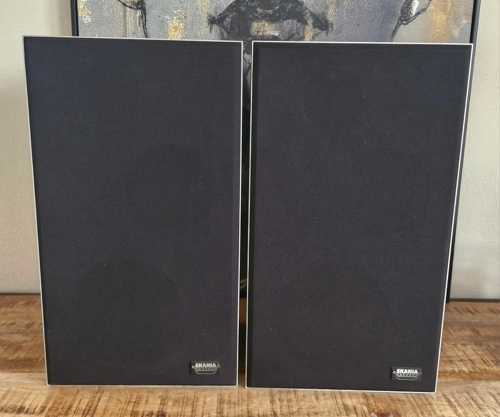 Skania 8450 vintage luidsprekers, Audio, Tv en Foto, Luidsprekers, Ophalen of Verzenden