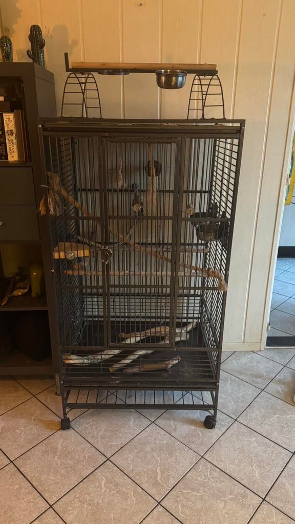 strong vogel kooi, Dieren en Toebehoren, Vogels | Hokken en Kooien, Ophalen, Zo goed als nieuw, Vogelkooi