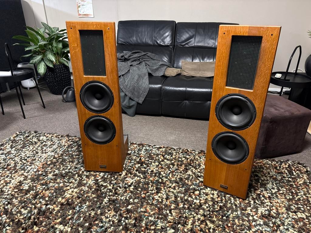 Actieve open baffle luidsprekers high-end, Overige merken, Gebruikt, Ophalen of Verzenden, 120 watt of meer