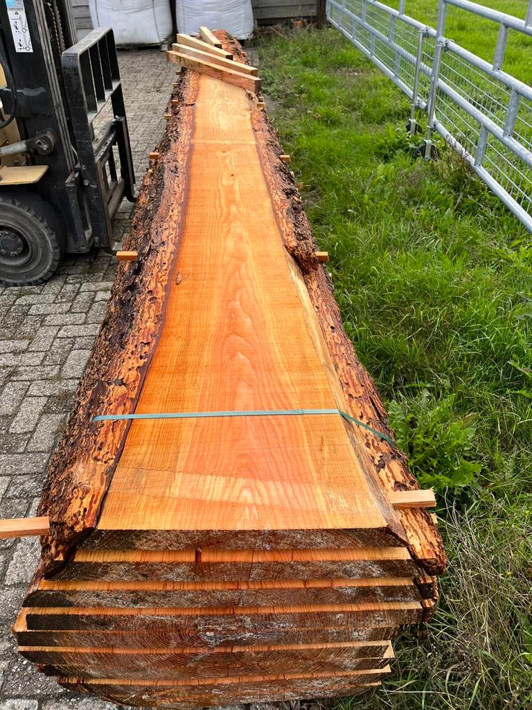 Dikke Douglas plank Boomstamplank Schaaldeel, Ophalen of Verzenden, Nieuw, 250 cm of meer, Planken