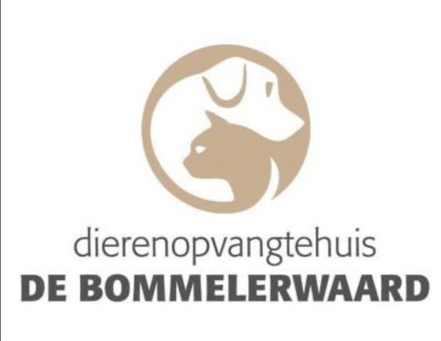 Gezocht gratis spullen (inzamelingsactie dierenasiel), Ophalen
