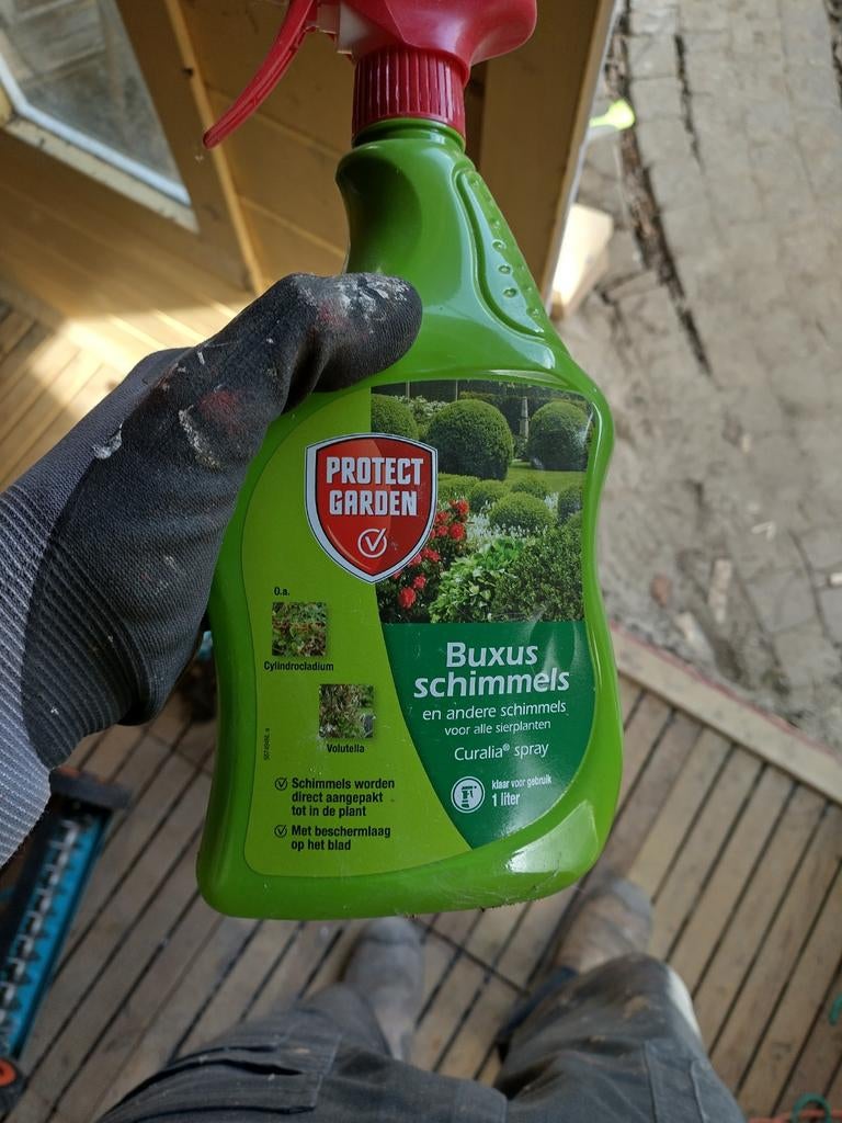 Gratis spray tegen (Buxus) schimmel 1l, Ophalen, Gebruikt, Overige soorten