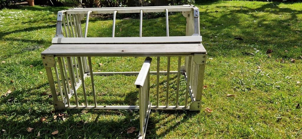 Duiven invlieger, Dieren en Toebehoren, Mannelijk, Postduif