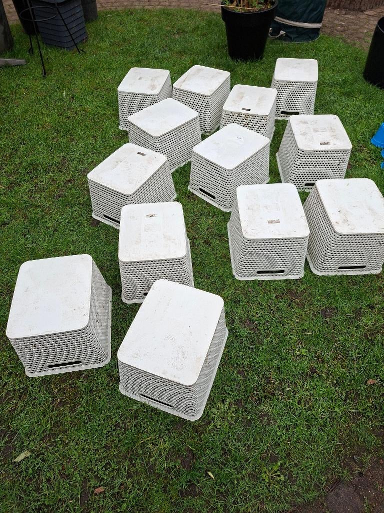 Manden voor kweekdoeleinden, Ophalen, Kunststof, Gebruikt, Mand