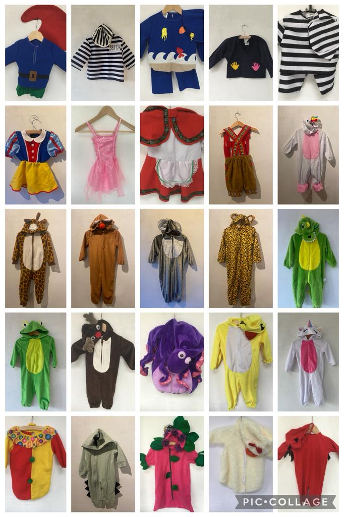 Baby carnavalskleding/verkleedkleding maat 62-92, Ophalen of Verzenden, Zo goed als nieuw, 104 of kleiner, Jongen of Meisje
