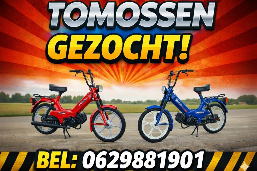 Tomos Gezocht / Tomos inkoop - Leiden - Randstad - Brabant, Ophalen of Verzenden