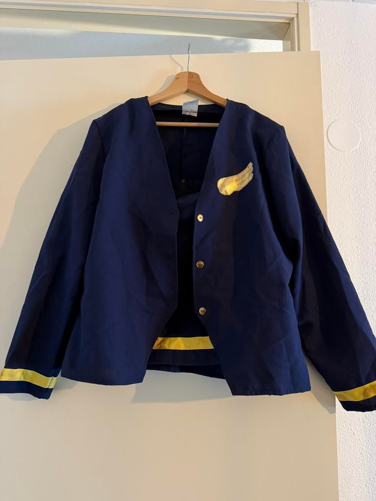 Stewardess kostuum, Ophalen of Verzenden, Gedragen, Maat 46/48 (XL) of groter, Carnaval