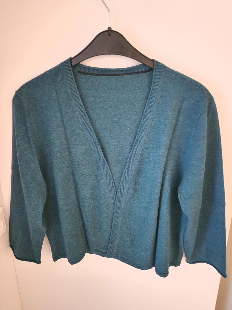 2 nieuwe Seasalt Cornwall vesten mt 48, Ophalen of Verzenden, Nieuw, Maat 46/48 (XL) of groter, Groen