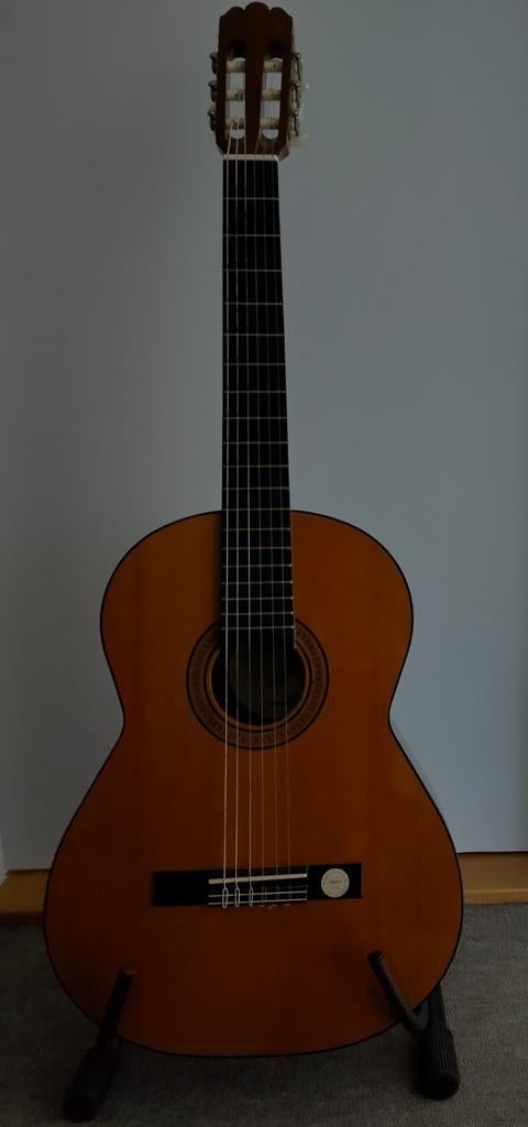 Gitaar, merk Höfner Carmenita HC 504, incl. toebehoren., Muziek en Instrumenten, Snaarinstrumenten | Gitaren | Akoestisch, Ophalen