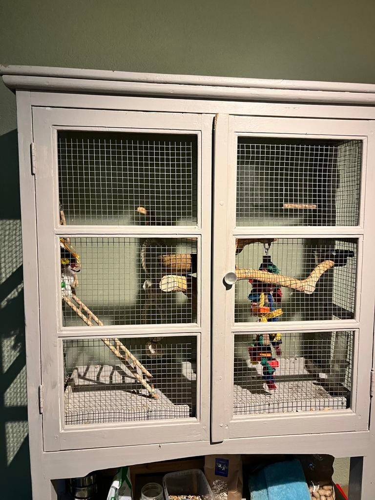 Buffetkast Vogelkooi javaboom, Dieren en Toebehoren, Ophalen of Verzenden, Zo goed als nieuw, Overige materialen, Vogelkooi