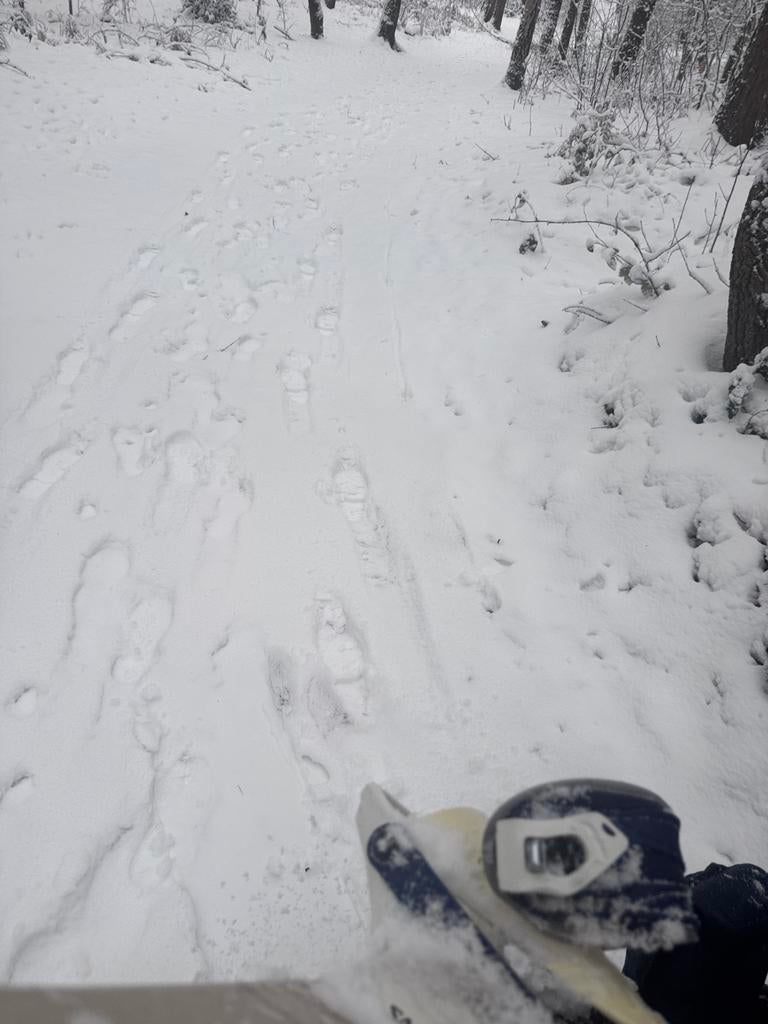 Nidecker Snowboard 158, Sport en Fitness, Snowboarden, Ophalen of Verzenden, Gebruikt, Board