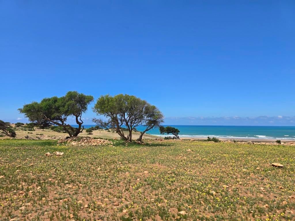 Wij zoeken een Nanny /Oppas, Au pair