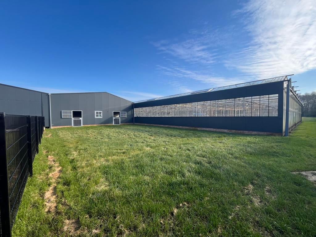 Plek per mei op pensionstalling voor paard of pony, Dieren en Toebehoren, Weidegang, 1 paard of pony