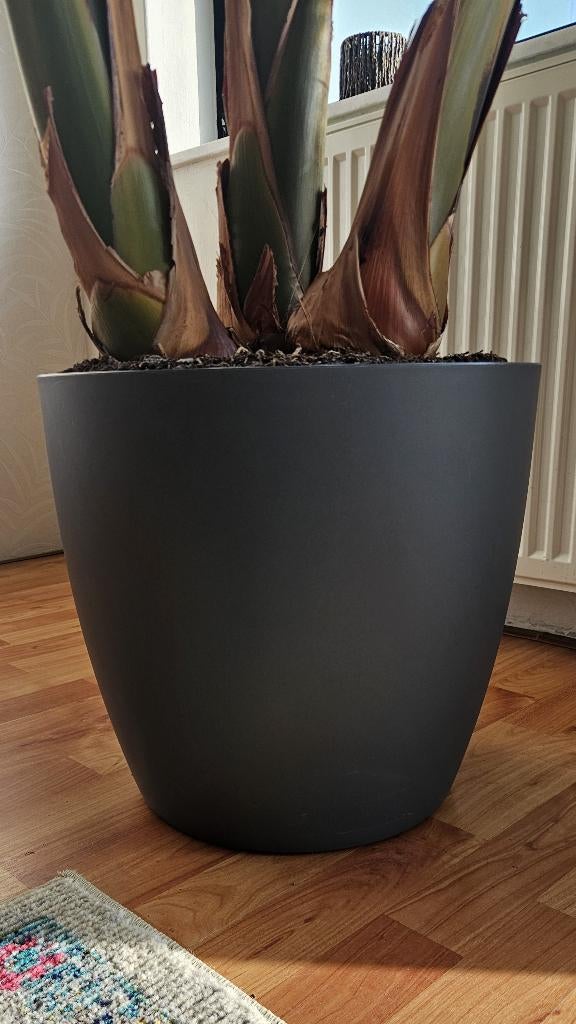 Bloempot Elho Brussels Rond Wielen 40 cm - Antraciet, Kunststof, Rond, Binnen, Zo goed als nieuw