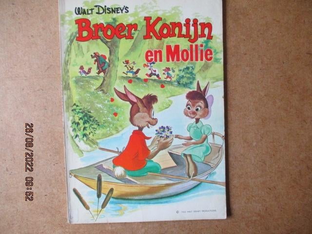 adv6994 broer konijn 2, Eén stripboek, Ophalen, Gelezen