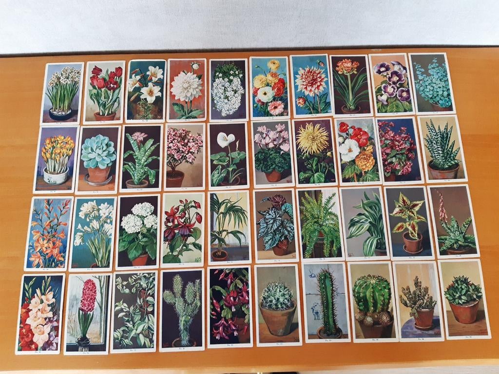40 Plantenkaartjes.  Voor het plantenboek van D.E., Verzamelen, Ophalen, 1980 tot heden, Tijdschrift
