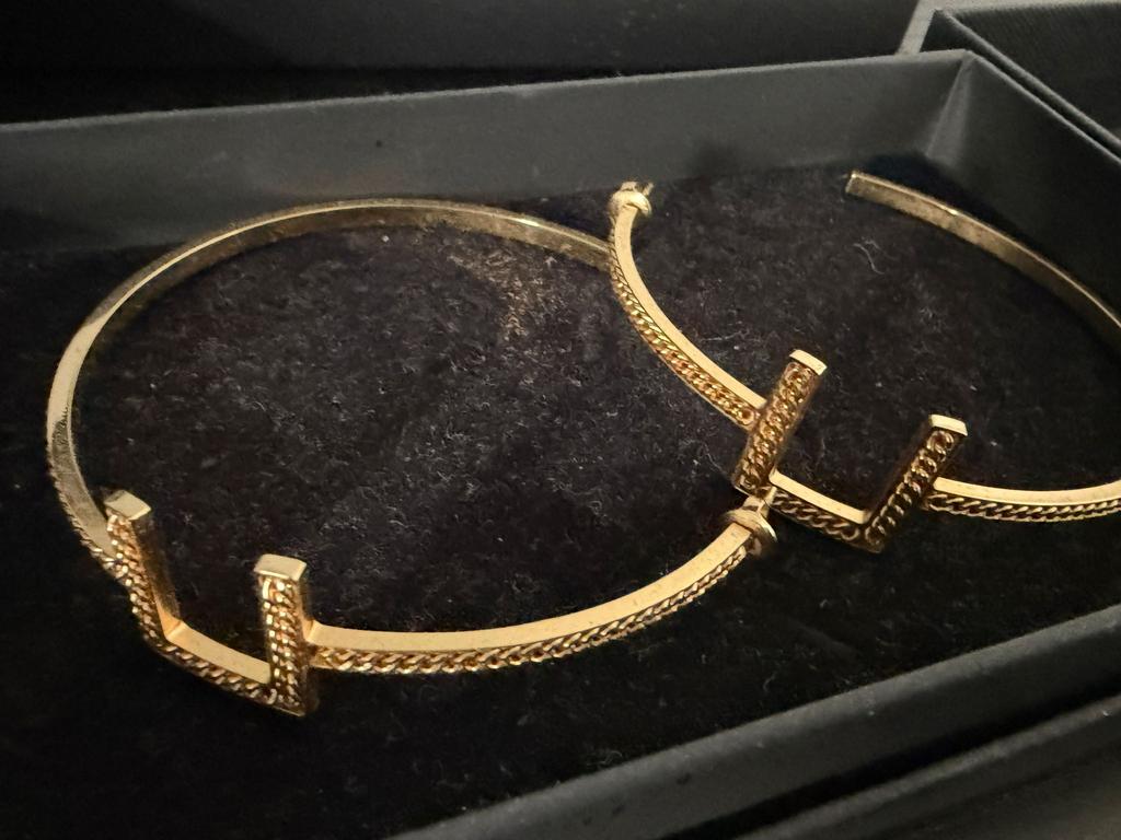 Elisabetta franchi oorbellen, Overige materialen, Hangers, Nieuw, Ophalen of Verzenden