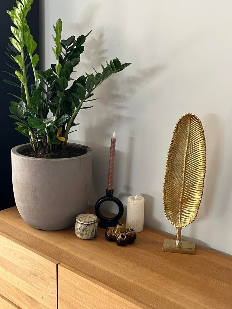 Beeld decoratie veer goudkleurig / goud, Huis en Inrichting, Woonaccessoires | Overige, Ophalen