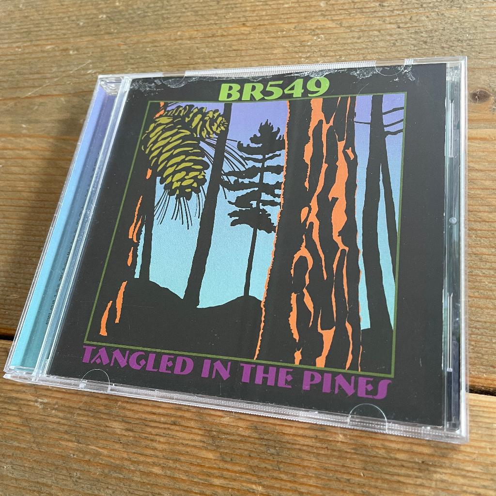 BR549 - Tangled In The Pines, Verzenden, 1980 tot heden, Zo goed als nieuw, Blues