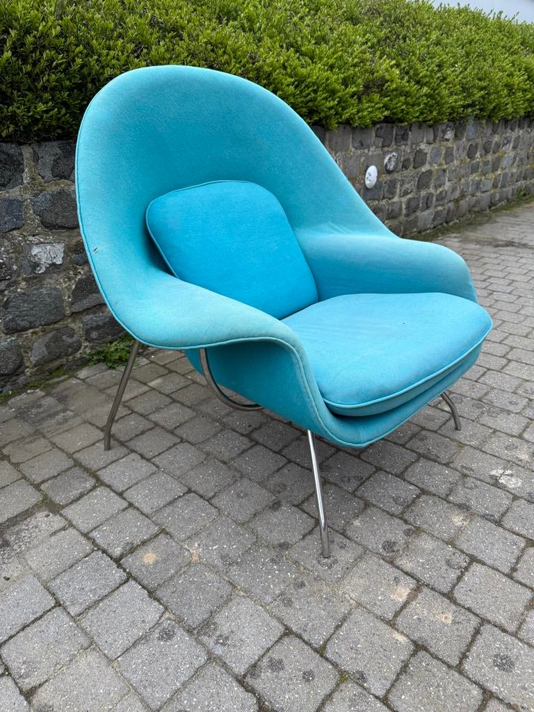 Eero Saarinen Knoll Womb Chair, WBF Suisse vintage, Ophalen, Gebruikt, Stof, 75 tot 100 cm