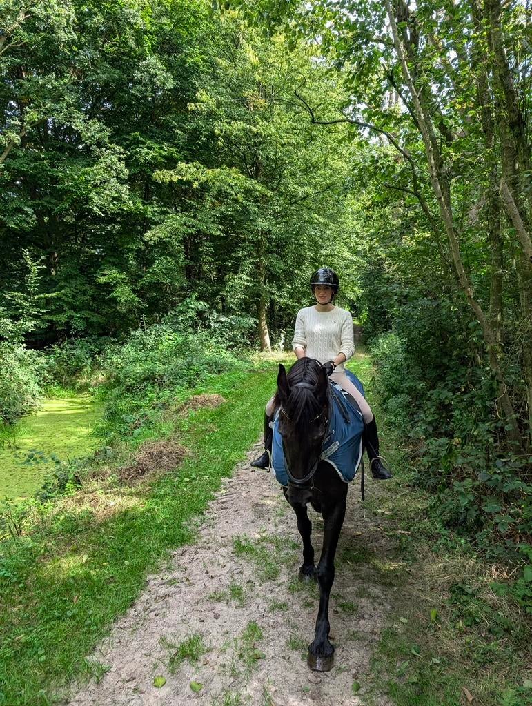 Bijrijder/verzorger aangeboden omgeving Almere, Dieren en Toebehoren, Ophalen of Verzenden