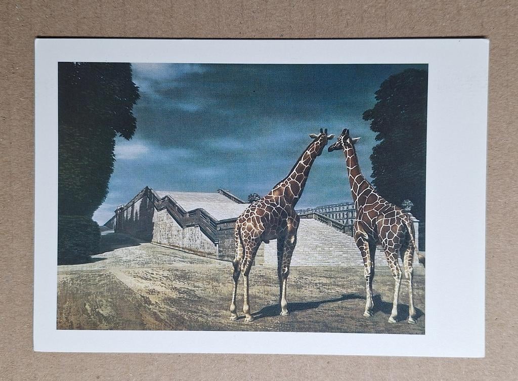 Carel Willink - Twee giraffen in het park van Versailles, 56, Ophalen of Verzenden, 1980 tot heden, Gelopen, Overige thema's