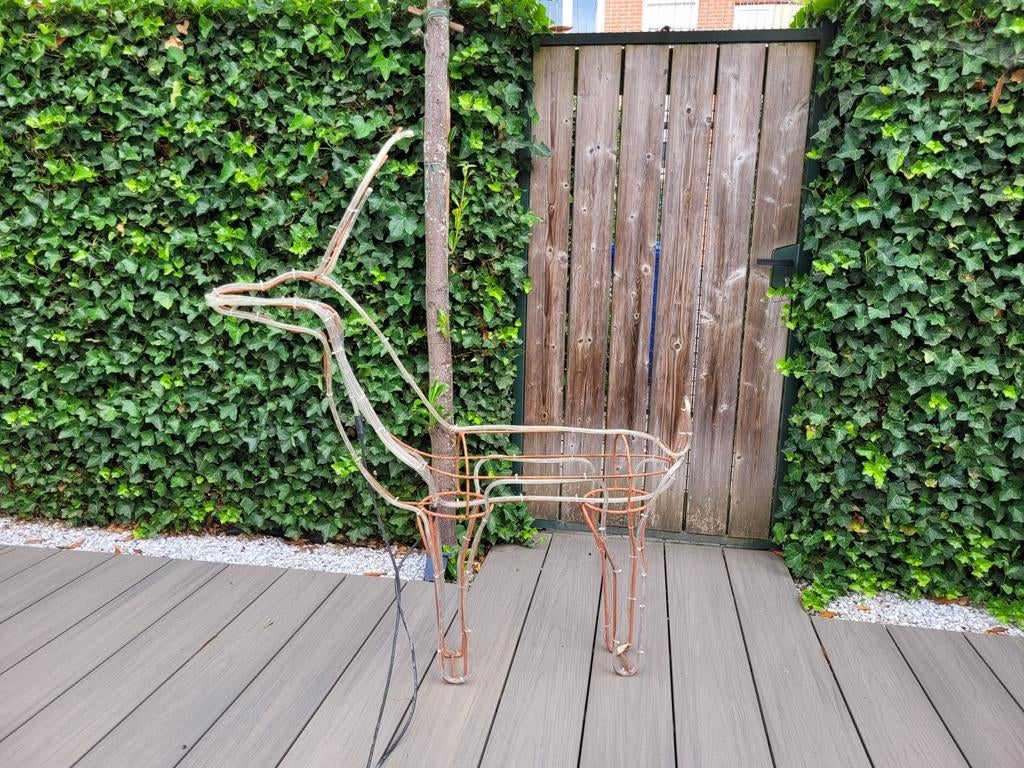 Rendier, Diversen, Ophalen of Verzenden