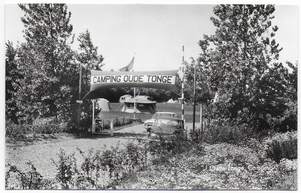 Oude Tonge Camping Ongelopen Ansichtkaart ( B7021), Ophalen of Verzenden, 1960 tot 1980, Ongelopen