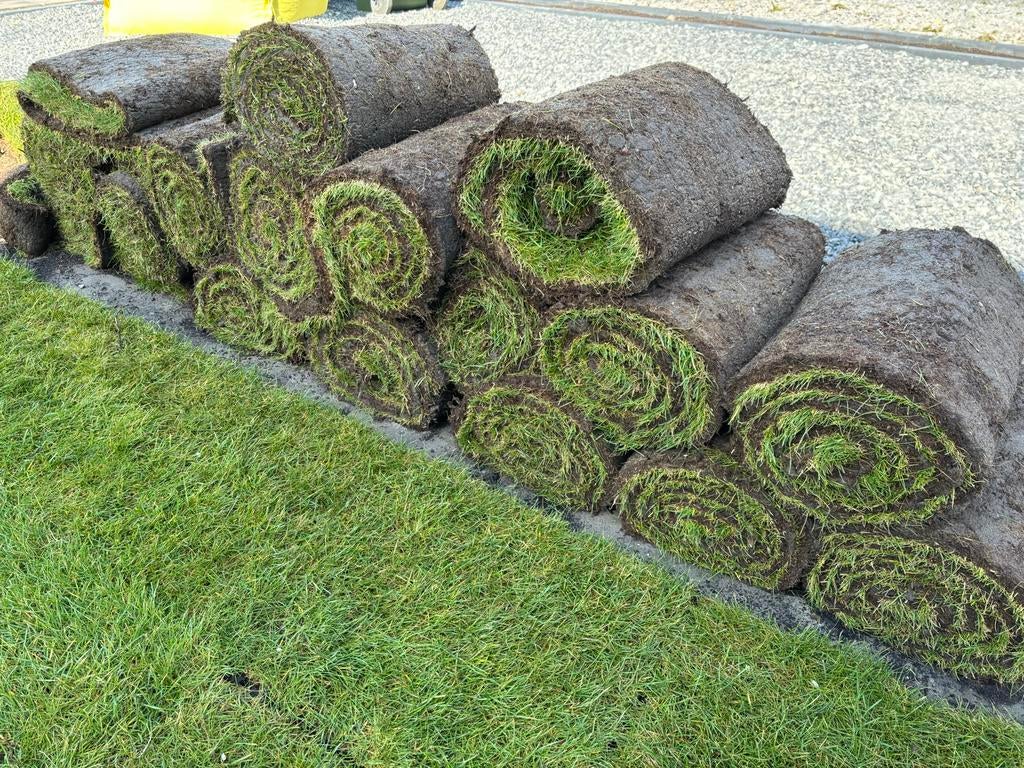 Restpartij verse graszoden - direct beschikbaar!, Tuin en Terras, Gras en Kunstgras, Ophalen, Nieuw, 10 tot 20 m², Gras