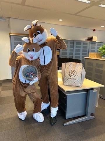 huur nu snel een paashaas kostuum in bruin of roze 25 euro, Ophalen of Verzenden, Zo goed als nieuw, Pasen