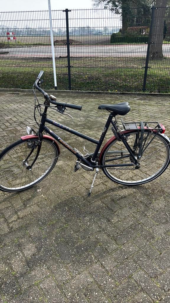 Batavus Cibola damesfiets, Fietsen en Brommers, Fietsen | Dames | Damesfietsen, Ophalen, Versnellingen, Batavus, 53 tot 56 cm