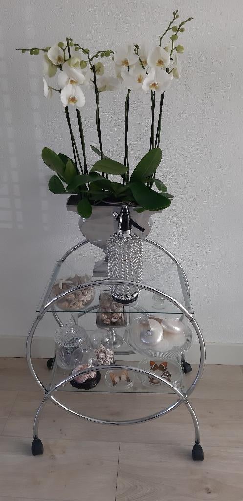 Spuitfles, Ophalen of Verzenden