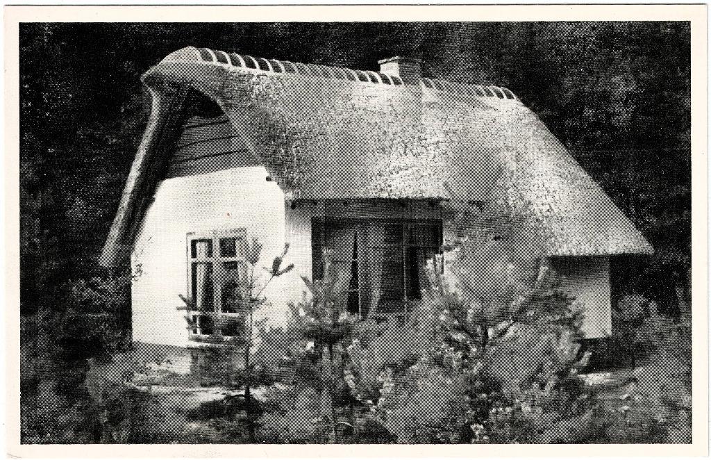 Oosterhout NB, Vac.- en Kampeercentrum Katjeskelder gelopen,, Verzenden, 1940 tot 1960, Gelopen, Noord-Brabant