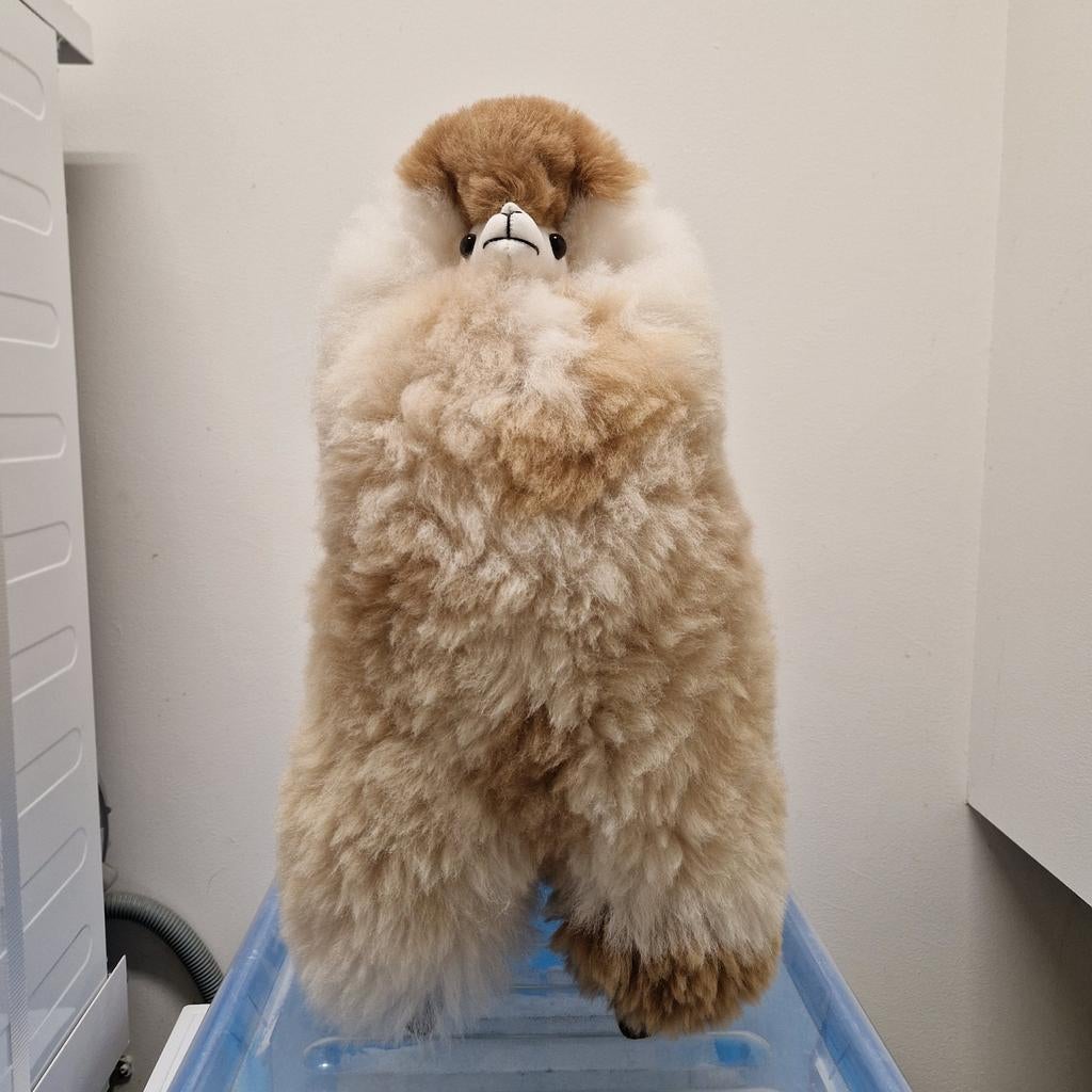 Inkari alpaca maat L, Ophalen of Verzenden, Zo goed als nieuw, Overige typen