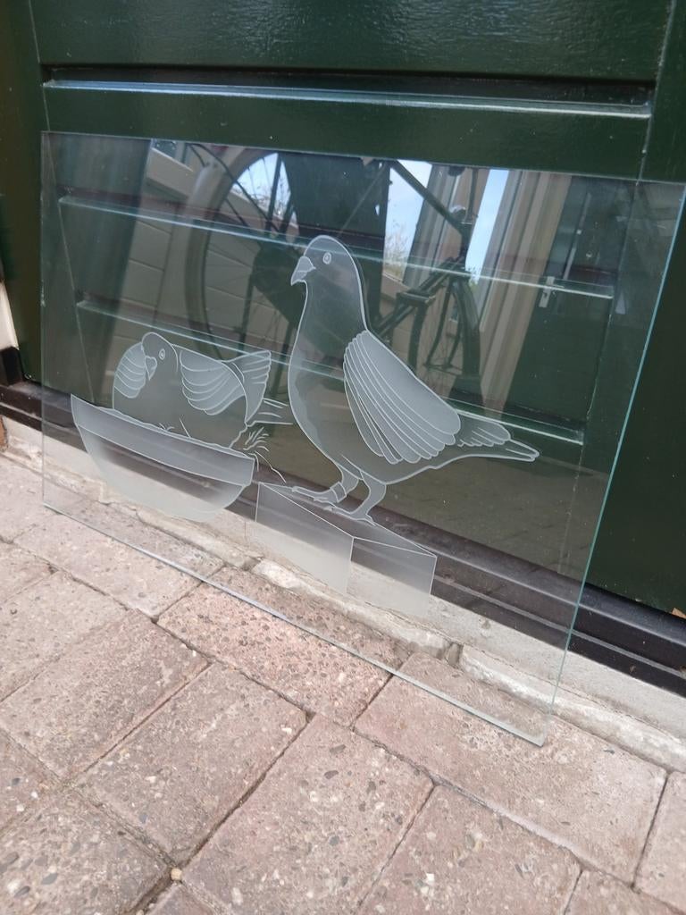 Duiven bieden lees beschrijving, Dieren en Toebehoren, Vogels | Duiven, Meerdere dieren, Postduif