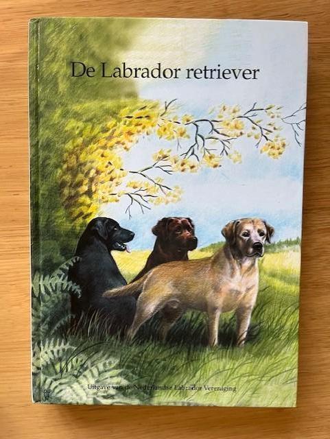 De labrador retriever, Ophalen of Verzenden, Zo goed als nieuw, Honden