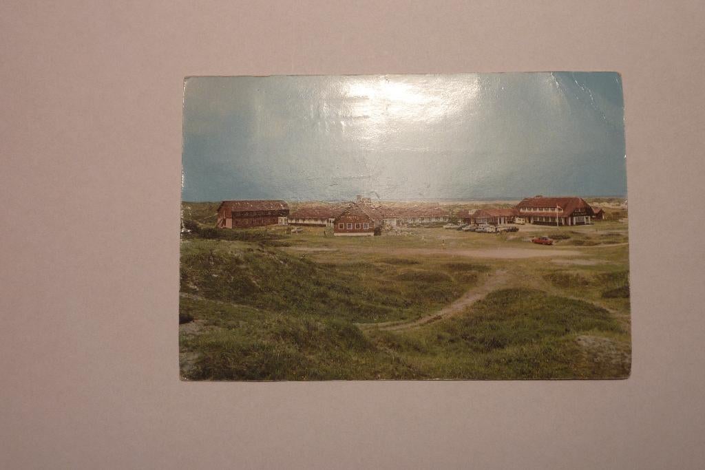 Hotel Excelsior Nes Ameland, Ophalen of Verzenden, 1940 tot 1960, Gelopen, Waddeneilanden