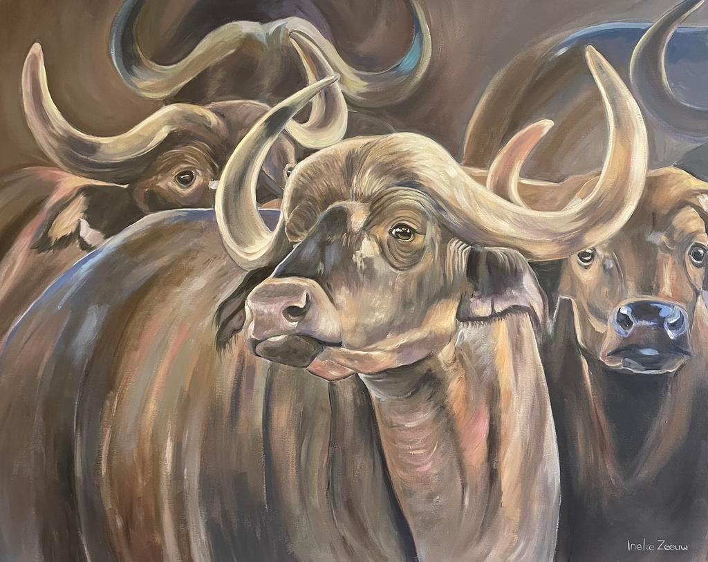 Schilderij afrikaanse buffels, Ophalen of Verzenden