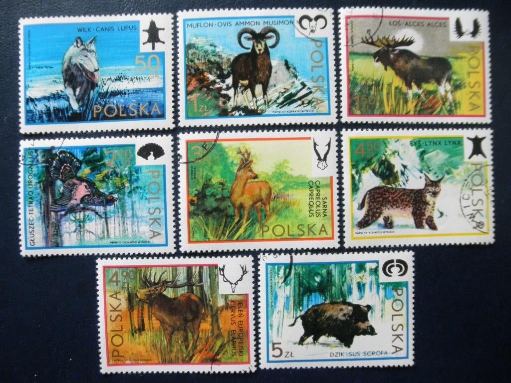 Postzegels dieren Polen 1973 wolf herten vogels lynx zwijnen, Ophalen of Verzenden, Gestempeld, Dier of Natuur
