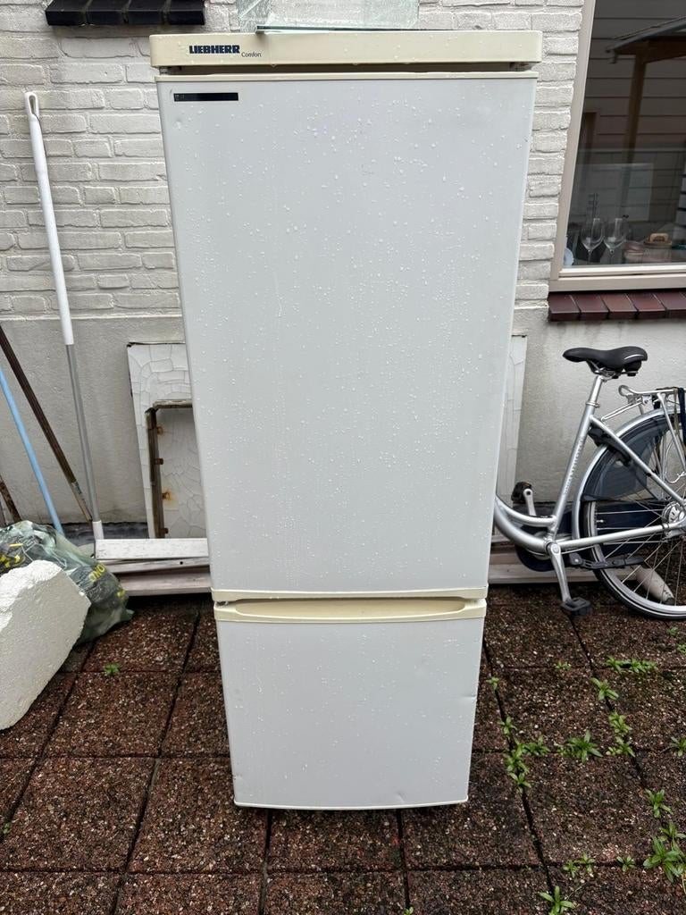 Liebherr Comfort koelkast met vriesvak, Ophalen