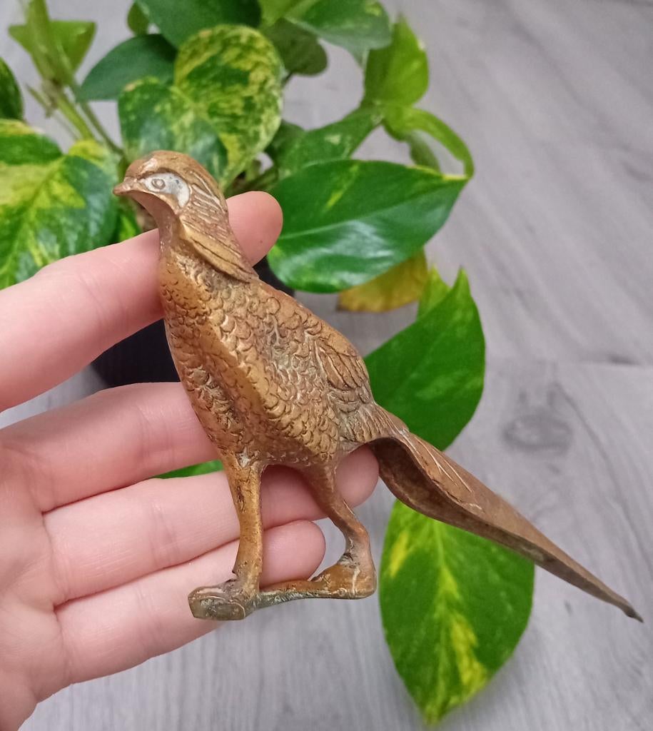 antieke fazant, Ophalen of Verzenden