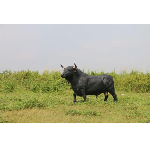 Spanish Fighting Bull beeld - Spaanse Stier Lengte 221 cm