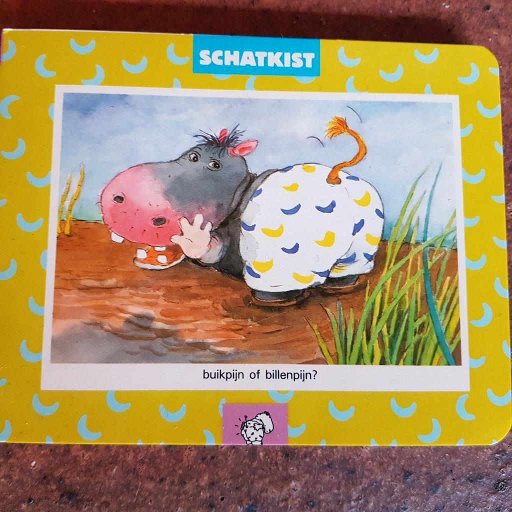 Buikpijn of billenpijn, kijkboekje +puzzel Schatkist,, Ophalen of Verzenden, Zo goed als nieuw, 3 tot 4 jaar