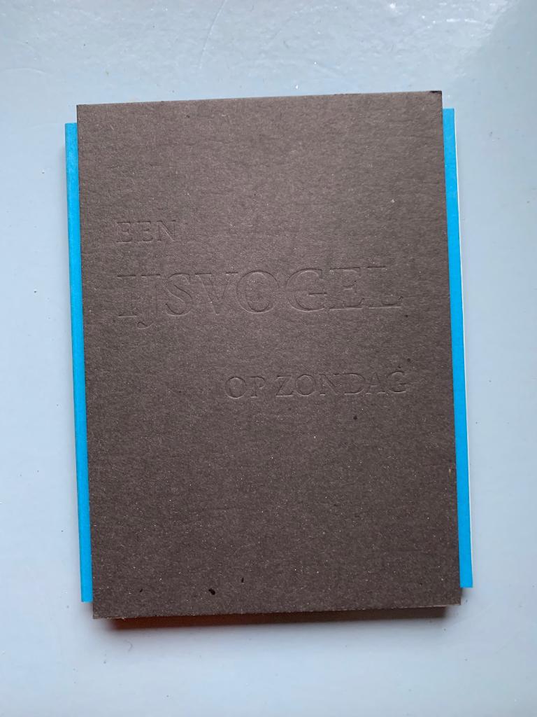 Een ijsvogel op zondag (1996), Boeken, Geschiedenis | Stad en Regio, Zo goed als nieuw, 20e eeuw of later, Ophalen of Verzenden